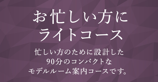 お忙しい方にライトコース