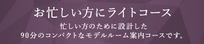 お忙しい方にライトコース