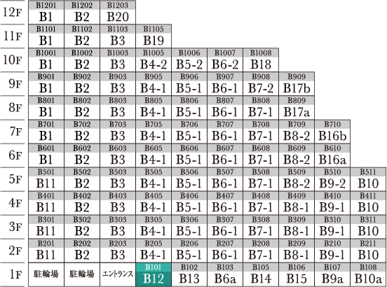 B12 type