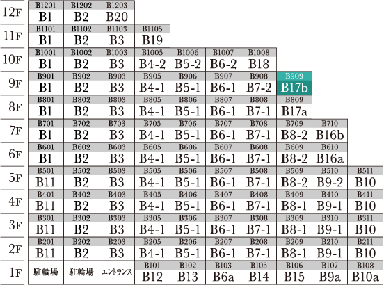 B17b type