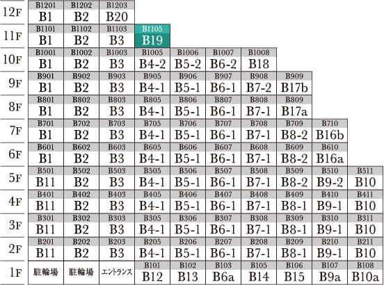 B19 type