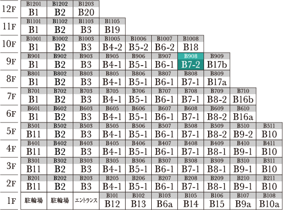 B7-2 type